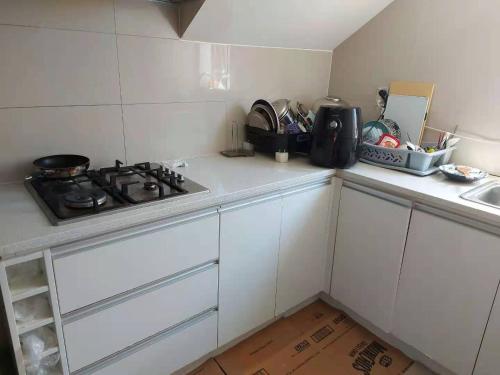 a small kitchen with a stove and a sink at Flat Bush Large Ensuite in Auckland