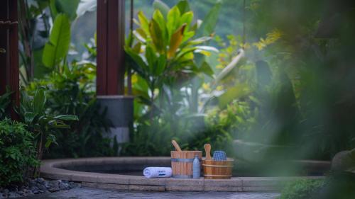 a garden with a fountain with plants and plants at 从化方圆·云雅酒店 in Guangzhou