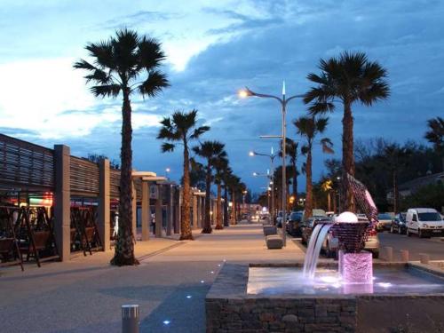 une fontaine au milieu d'une rue avec des palmiers dans l'établissement Appartement T1 avec Terrasse, Parking, Proche Plage et Commodités - FR-1-387-207, à Marseillan