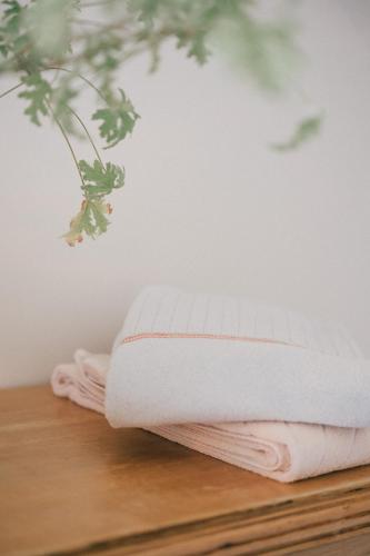 a stack of towels sitting on top of a table at Saturn's Return in Friday Harbor