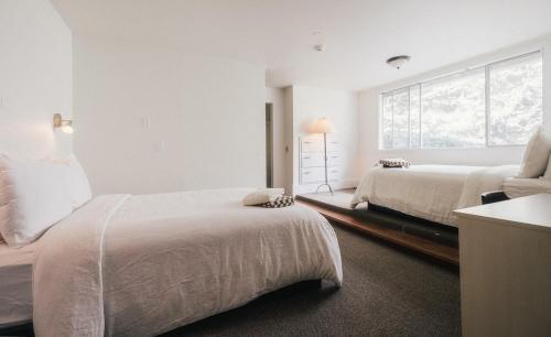 a white bedroom with two beds and a window at Saturn's Return in Friday Harbor
