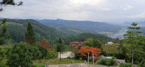 a view of a valley with trees and mountains at Ama Residency & Homestay Kandy in Hindagala