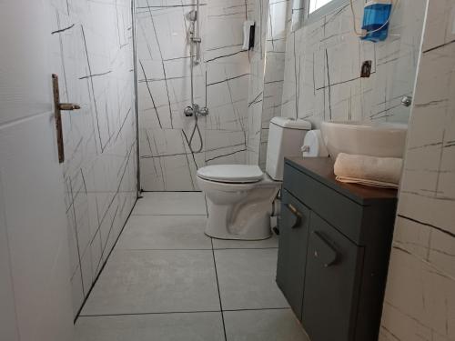 uma casa de banho com um WC, um lavatório e um chuveiro em Royal Suit Premium em Istambul