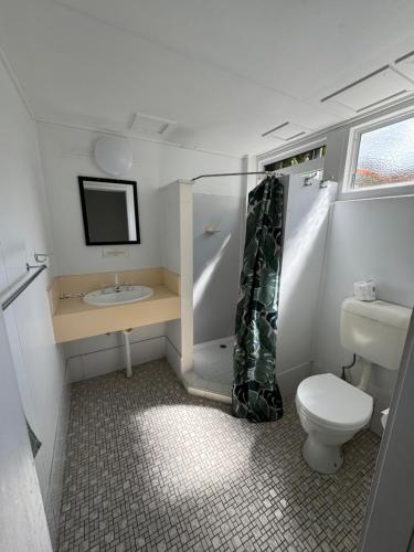 a small bathroom with a toilet and a sink at Cairns City Motel in Cairns