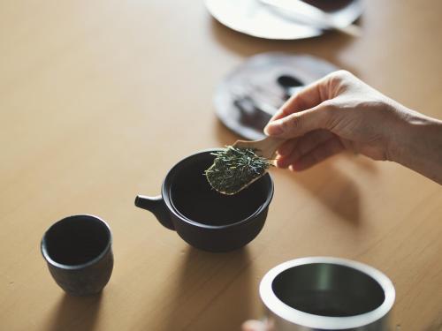 a person holding a plant in a pot on a table at SOKI ATAMI in Atami