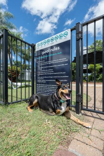 a dog laying in the grass next to a sign at Tasman Holiday Parks - Hervey Bay in Hervey Bay