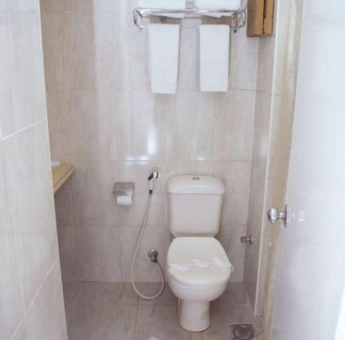 a small bathroom with a toilet and a shower at WWassim hotel in Cairo