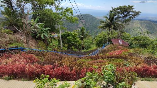a view of a hill with trees and plants at Island Skyview Resort - JVR by Hiverooms in Balamban