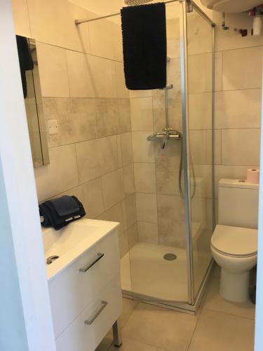 une salle de bain avec douche et toilettes dans l'établissement Joli studio meublé très calme 15mn des plages et wifi gratuit, à Marseille
