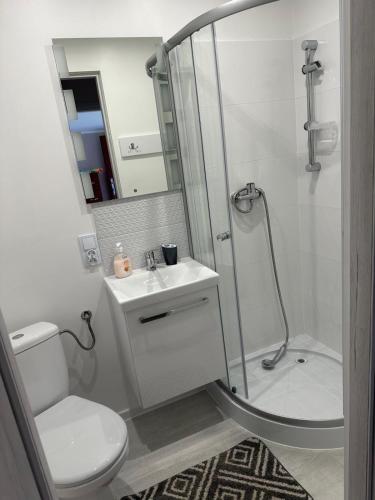 a bathroom with a shower and a toilet and a sink at Krok od Biebrzy in Stare Dolistowo