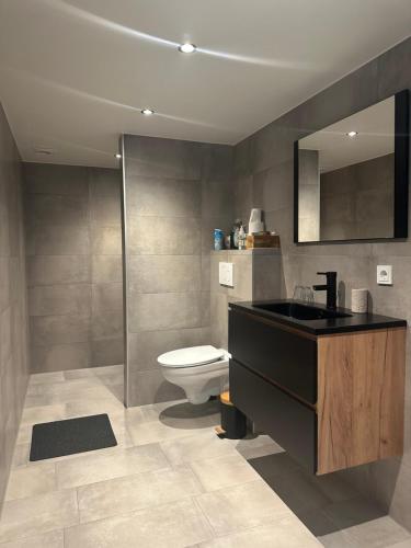 een badkamer met een toilet, een wastafel en een spiegel bij Op den Distelberg in Helvoirt