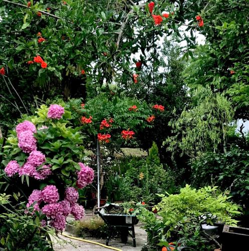 a garden with pink and purple flowers and trees at La Maison Ancienne Eymet in Eymet