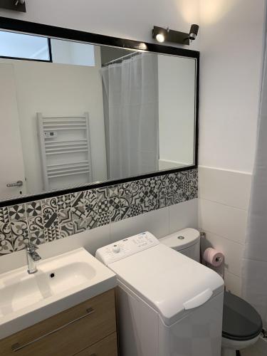 une salle de bain avec un lavabo et un miroir et des toilettes dans l'établissement Studio au cœur de la ville, à Nice
