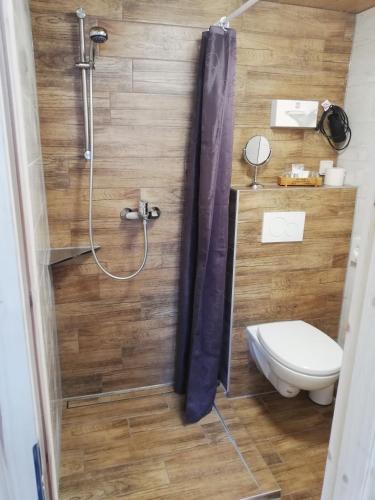 a bathroom with a shower and a toilet in it at Pension Haus zum See GbR in Markische Heide