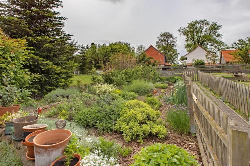 a garden with lots of plants and a fence at Ferienwohnung Gute Stube in Veckenstedt