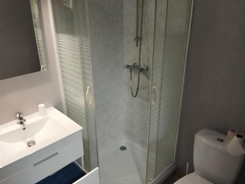 a bathroom with a shower and a toilet and a sink at Gite Le Lucimond in Saint-André