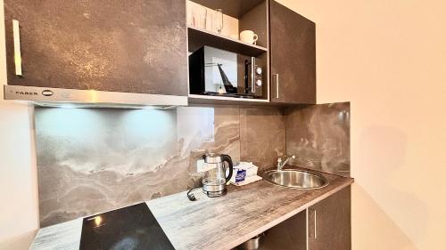 uma cozinha com um lavatório e uma bancada em Kastanimaja Apartments em Tartu