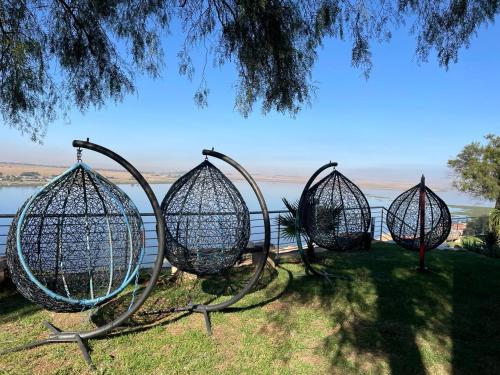 a group of bird cages sitting in the grass at Eagles View Kungwini in Erasmus