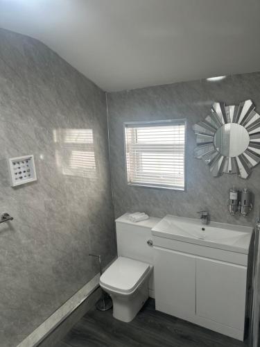 a bathroom with a toilet and a sink and a mirror at Sheriff suites in Hartlepool