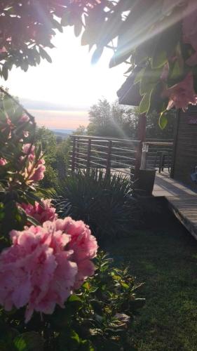 Κήπος έξω από το Chalet idéal 4-8 pers avec garage 20 mn Gérardmer