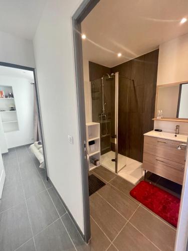 une salle de bain avec douche et lavabo dans l'établissement Cosy appartement - Vieux port, à Antibes
