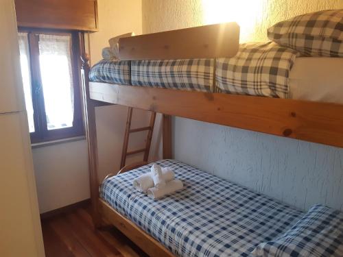 LusianaにあるMansarda accogliente a Lusianaの小さなドミトリールーム 二段ベッド2台 ハシゴ付