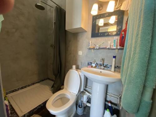 une petite salle de bain avec toilettes et lavabo dans l'établissement Studio entre Étoile et Trocadéro, à Paris