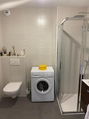 a washing machine in a bathroom with a shower at L’élégance au bord du Lac in Évian-les-Bains