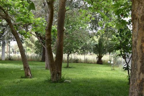 Jardín al aire libre en Κτήμα Archaia Ilida