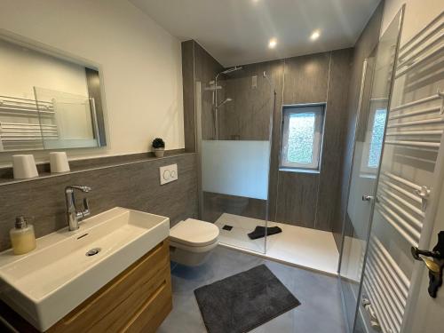 a bathroom with a sink and a toilet and a shower at Haus Elsholz Usseln FeWo Birke in Willingen