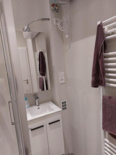 La petite salle de bains est pourvue d'un lavabo et d'un miroir. dans l'établissement Studio-Apartment near Congress Centre Prague, à Prague