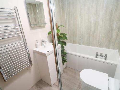 a bathroom with a toilet and a sink and a bath tub at Chy-An-Oula in Falmouth