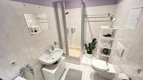 een witte badkamer met een toilet en een wastafel bij Citywohnungen Halle am Riebeckplatz in Halle an der Saale
