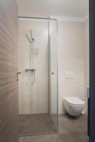 a bathroom with a shower and a toilet at Guest House Valentincic in Nova Gorica