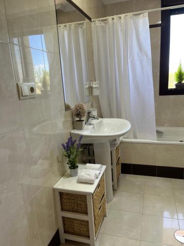 bagno bianco con lavandino e doccia di Apartamento Club de Golf León a León