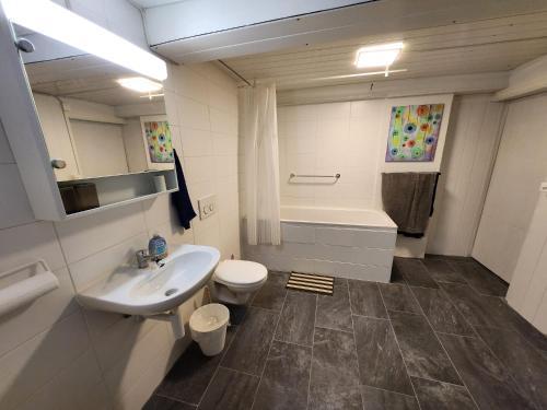 łazienka z umywalką, toaletą i wanną w obiekcie Spacious cellar studio surrounded by mountains and lake w mieście Schwändi