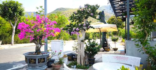 a patio with two trees with pink flowers and an umbrella at COBI’s Home in Cam Lâm
