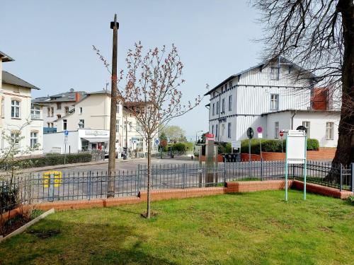 a small tree in a yard next to a fence at Haus Lucie 50m bis zum Ostseestrand in Heringsdorf