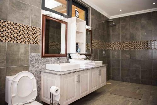 ein Badezimmer mit einem WC, einem Waschbecken und einem Spiegel in der Unterkunft Mara Meguarra Sanctuary in Ololaimutiek