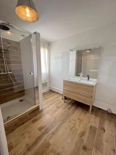 une salle de bain avec un lavabo et une douche dans l'établissement 