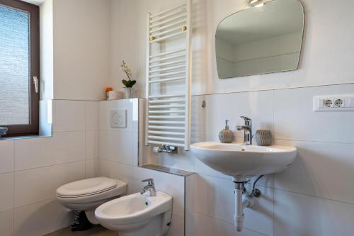 ein Badezimmer mit Waschbecken, Toilette und Spiegel in der Unterkunft Gatscherhof Apt Abendrot in Lüsen