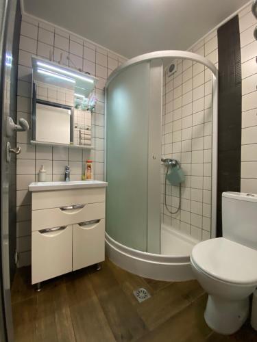 日托米爾的住宿－普希金的公寓，带淋浴、卫生间和盥洗盆的浴室