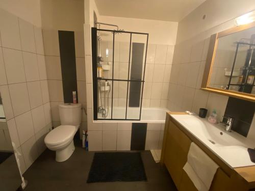 une salle de bain avec toilettes, lavabo et douche dans l'établissement Chez Manu Meublé de tourisme 2 étoiles pour 6 personnes - 3 chambres, à Villeparisis