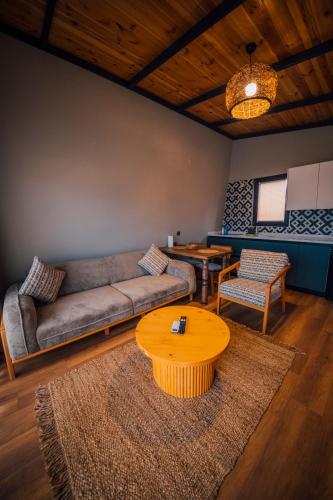 Ruang duduk di Vital Göl Sapanca Özel Havuzlu Bungalov & Villa
