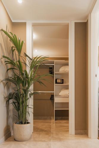 a plant in a room with a closet at Villa Antica Colonia SPA & Wellness in Pettenasco