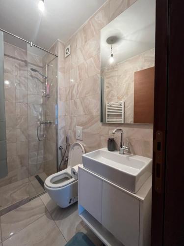 een badkamer met een wastafel, een toilet en een douche bij Waves Apartment 106 in Sarajevo