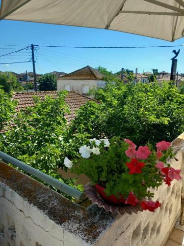 a pot of flowers sitting on a ledge at traditional village house in Ariokhórion