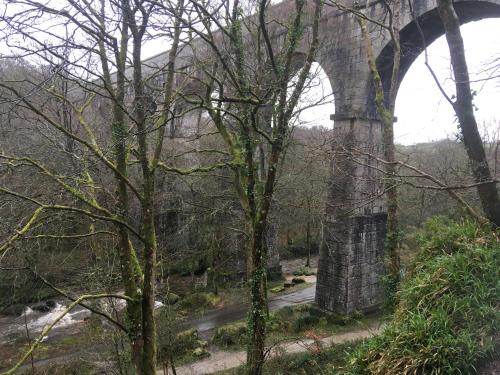 an old bridge over a river in a forest at Treganoon House, Lanlivery in Bodmin