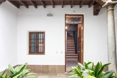 APN Duplex Elvira