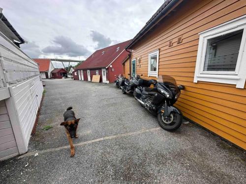 Fotografie z fotogalerie ubytování Fishermans Apartment A13 v destinaci Nautnes
